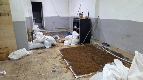 İstanbul ve Adıyaman'da Kaçak Tütün Operasyonu