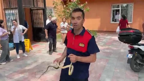 Zonguldak'ta Sağlık Ocağında Yılan Paniği
