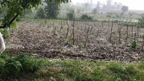 Bursa Keles'te Tarım Arazilerine Dolu Vurdu