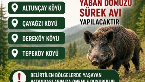 Akçakoca’da Yaban Domuz Avı Düzenlenecek