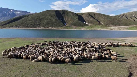 Bitlis’te Yayla Sezonu Başladı