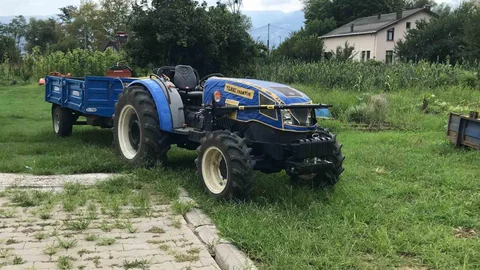 Musa'nın Yorgun Mermisi Hala Bulunamadı