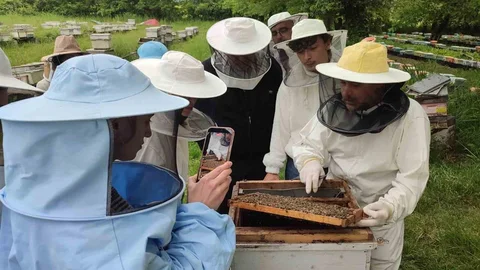 Düzce'de Arıcılık Öğrencileri Buluştu