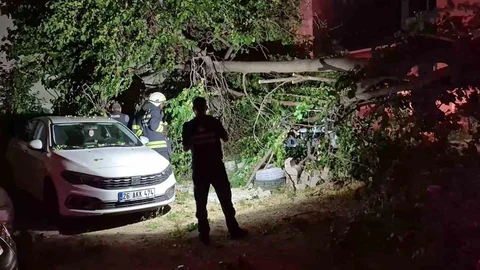 Eskişehir'de Devrilen Ağaç Araçları Sıkıştırdı