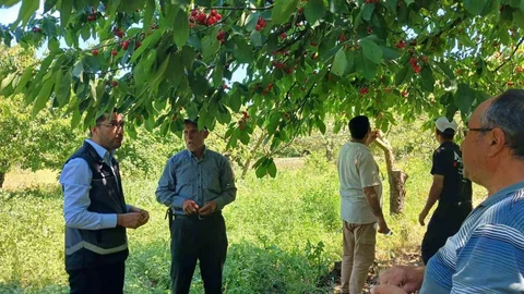 Bilecik'te Dolu Yağışı Sonrası Zarar Tespiti Yapıldı