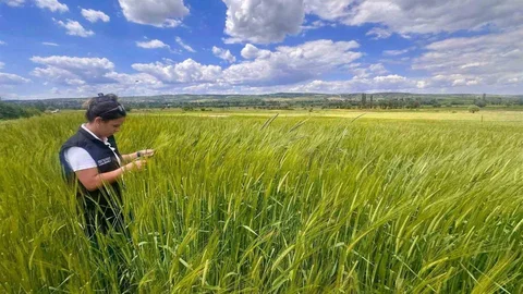 Afyonkarahisar'da Hububat Kontrolleri Devam Ediyor