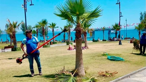 Didim'de Ortak Kullanım Alanları Yenileniyor