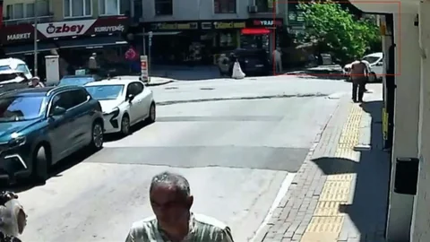 Bursa'da 150 Yıllık Çınar Devrildi