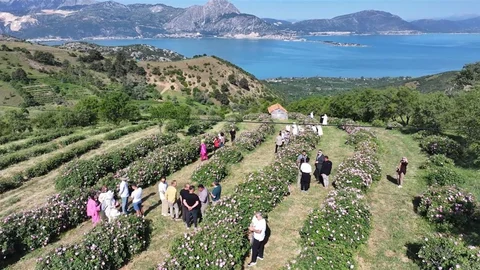 Isparta'da Gül Festivali Coşkusu Sürüyor