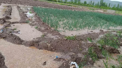 Malatya'da Dolu Yağışı Etkili Oldu