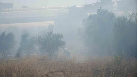 Antalya'da Sera Yangını Tehdidi