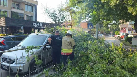 Düzce'de Ağaç Devrildi, Araç Zarar Gördü