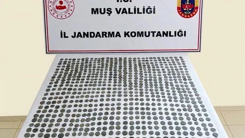 Muş'ta Tarihi Sikke Operasyonu