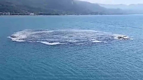 Kastamonu'da Denizde İlginç Olay