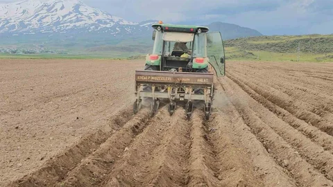Adilcevaz’da Fasulye Ekim Sezonu Başladı