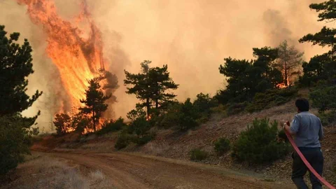 Eskişehir ve Afyonkarahisar’da Orman Girişleri Yasaklandı