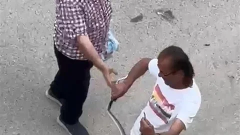 Sakarya'da Yılan Panik Yarattı