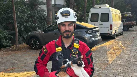 Aydın'da Mahsur Kalan Kedi Kurtarıldı