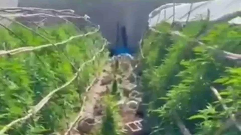 Hatay'da Uyuşturucu Operasyonu