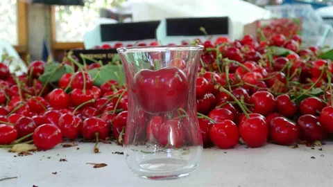 Çanakkale’de Lapseki Kirazı Hasadı Başladı