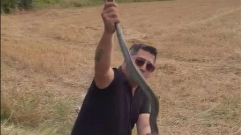 Hatay'da Yılan Yakalama Anları