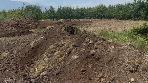 Organik Gübre Fiyatları Bursa'da Sabit Kaldı