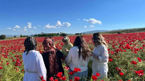 Elazığ'da Doğal Gelincik Tarlası Ziyaretçi Akınına Uğradı