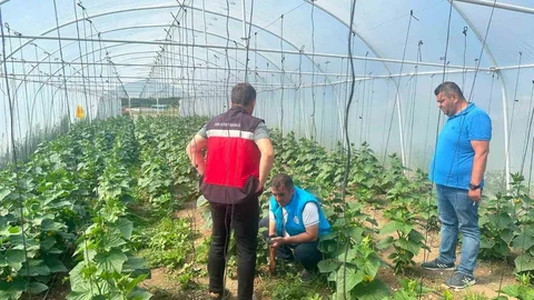 Tavşanlı Cezaevi'nde Üretim Faaliyetleri İncelendi