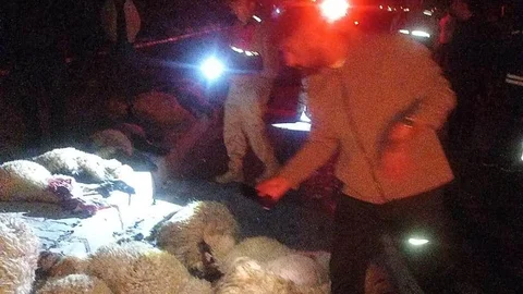 Van'da Otomobil Koyun Sürüsüne Çarptı