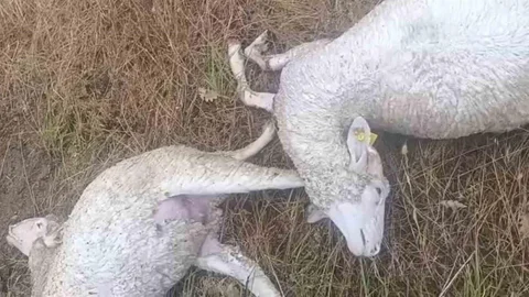 Kırklareli'nde Şiddetli Yağış Zarara Yol Açtı