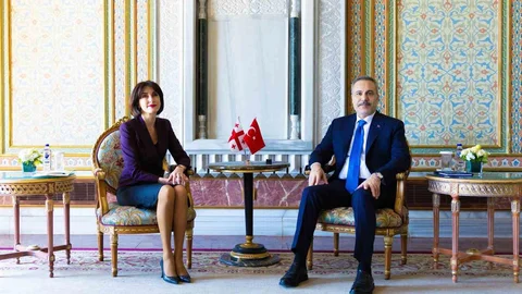 Hakan Fidan Gürcistanlı Bakan ile Görüştü