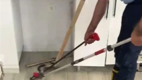 Gaziantep'te Eve Giren Yılan Yakalandı