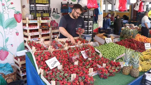 Bolu'da Yaz Meyveleri Fiyatları Düşüyor