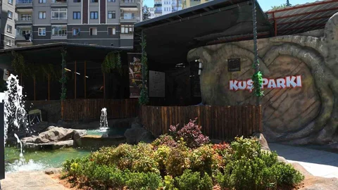 Trabzon'da Kuş Parkı Ziyaretçileri Bekliyor