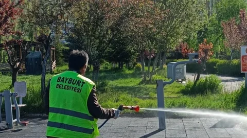 Bayburt'ta Kene İlaçlaması Yapıldı