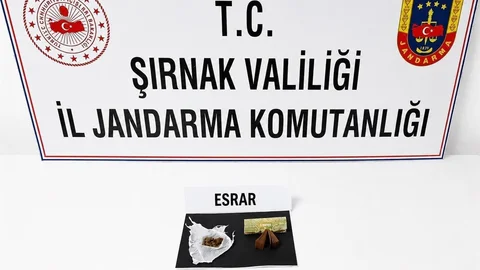 Şırnak’ta Jandarma Operasyonları Artış Gösterdi