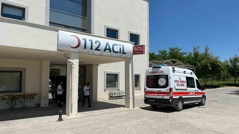 Besni'de Otomobil Devrildi, İki Yaralı
