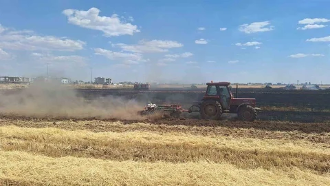 Mardin’de Buğday Alanı Yangında Zarar Gördü
