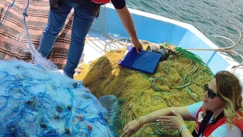 Sürdürülebilir Balıkçılık İçin Markalama Çalışması