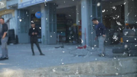 Muş'ta Kavak Polenleri Sorun Oluyor