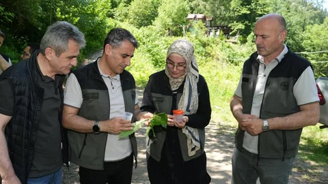 Artvin'de Samuray Arıları Salındı