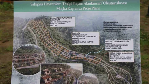 Trabzon'da Sokak Hayvanları İçin Barınak İnşası