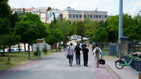 Kocaeli'de Sahipsiz Köpek Sorunu Süregeldi