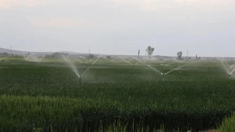 Konya'da Su Kullanımında Düşüş ve Barajlar Doluyor