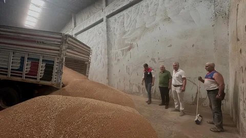 Koçarlı’da İlk Hububat Alımı Yapıldı