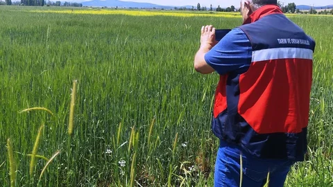 Çavdarhisar'da Tarımsal Çalışmalar Devam Ediyor