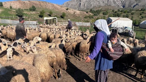 Destek Bekleyen Üreticilere Dolandırıcılık Uyarısı