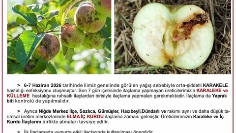 Niğde'de Elma Üreticilerine Uyarı
