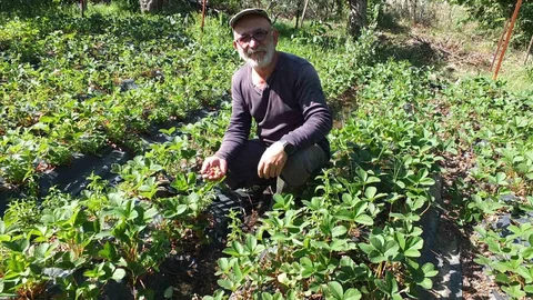 Balıkesir'de Emekli Üretici Başarıya İmza Attı