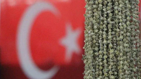 Amasya'da Bamyacılar Şikayetçi Oldu